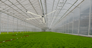 HVLS Fans in Agriculture: How They Help Maintain Ideal Storage Conditions