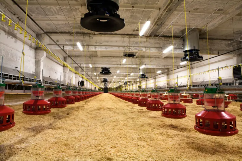 Optimizing Ventilation for Agricultural Facilities