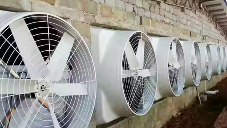 How to Maintain Industrial Exhaust Fans for Long Life & Performance
