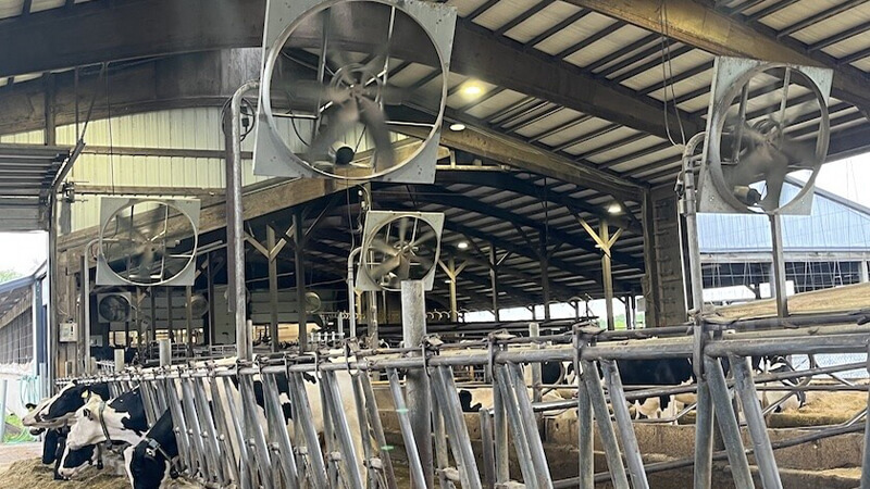 Industrial Exhaust Fans 